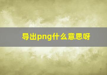 导出png什么意思呀