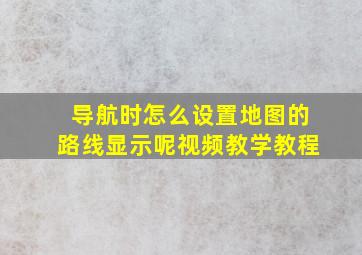 导航时怎么设置地图的路线显示呢视频教学教程