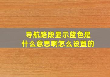 导航路段显示蓝色是什么意思啊怎么设置的