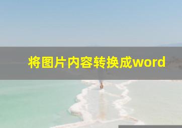 将图片内容转换成word