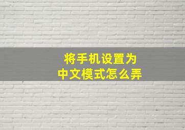 将手机设置为中文模式怎么弄