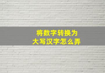 将数字转换为大写汉字怎么弄