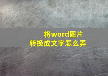 将word图片转换成文字怎么弄