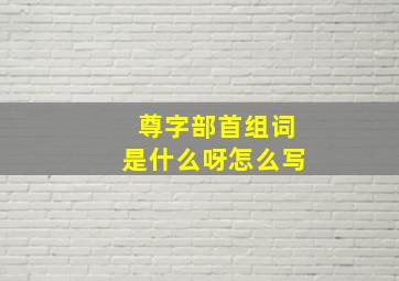 尊字部首组词是什么呀怎么写