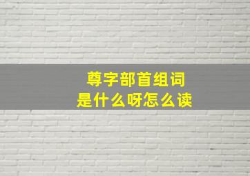 尊字部首组词是什么呀怎么读