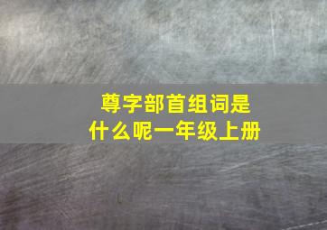 尊字部首组词是什么呢一年级上册