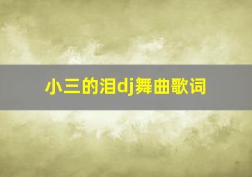 小三的泪dj舞曲歌词