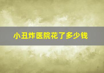 小丑炸医院花了多少钱