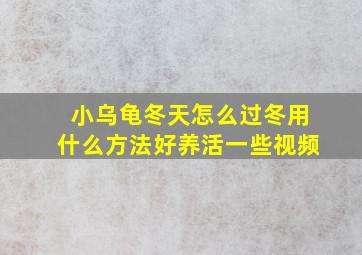 小乌龟冬天怎么过冬用什么方法好养活一些视频