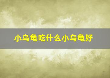 小乌龟吃什么小乌龟好