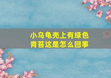 小乌龟壳上有绿色青苔这是怎么回事