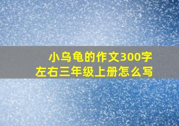 小乌龟的作文300字左右三年级上册怎么写