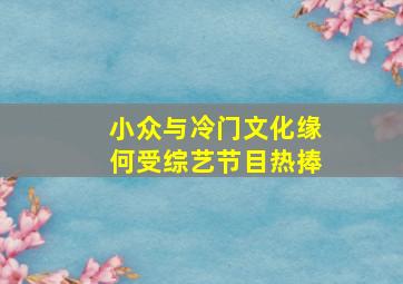 小众与冷门文化缘何受综艺节目热捧