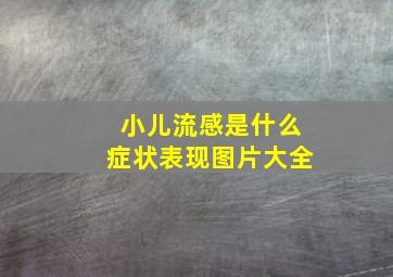 小儿流感是什么症状表现图片大全