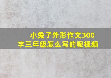 小兔子外形作文300字三年级怎么写的呢视频