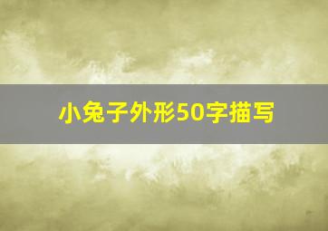 小兔子外形50字描写