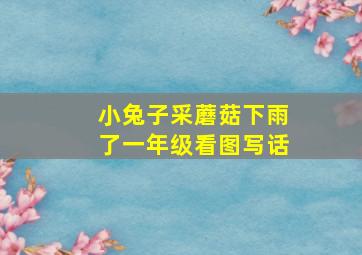 小兔子采蘑菇下雨了一年级看图写话