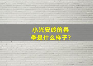 小兴安岭的春季是什么样子?