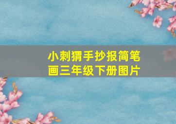 小刺猬手抄报简笔画三年级下册图片