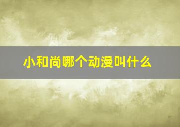 小和尚哪个动漫叫什么