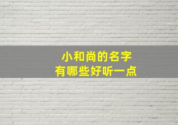 小和尚的名字有哪些好听一点