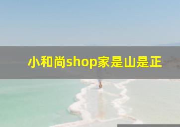 小和尚shop家是山是正