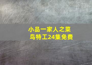 小品一家人之菜鸟特工24集免费