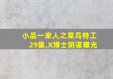 小品一家人之菜鸟特工29集,X博士阴谋曝光