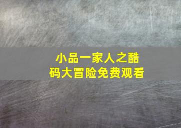 小品一家人之酷码大冒险免费观看