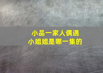 小品一家人偶遇小姐姐是哪一集的