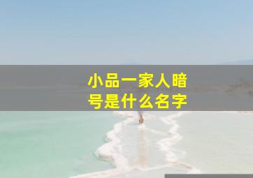 小品一家人暗号是什么名字