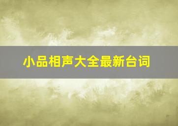 小品相声大全最新台词