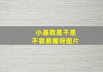 小基数是不是不容易瘦呀图片