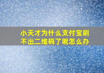 小天才为什么支付宝刷不出二维码了呢怎么办