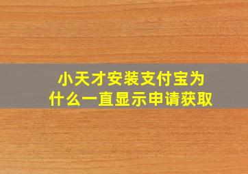 小天才安装支付宝为什么一直显示申请获取