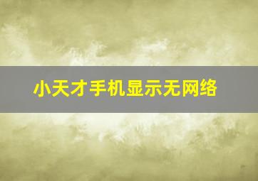 小天才手机显示无网络