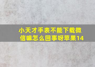 小天才手表不能下载微信嘛怎么回事呀苹果14