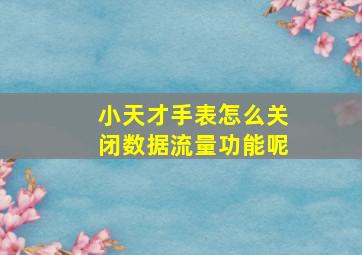 小天才手表怎么关闭数据流量功能呢