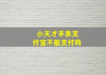 小天才手表支付宝不能支付吗