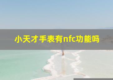 小天才手表有nfc功能吗