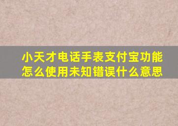 小天才电话手表支付宝功能怎么使用未知错误什么意思