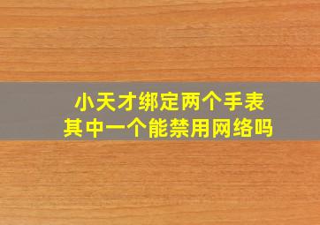 小天才绑定两个手表其中一个能禁用网络吗