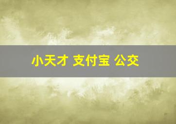 小天才 支付宝 公交