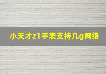 小天才z1手表支持几g网络