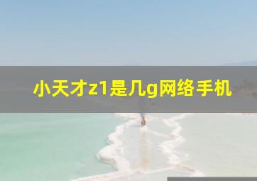 小天才z1是几g网络手机