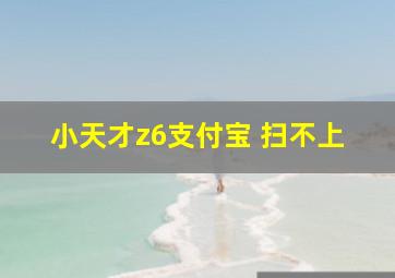 小天才z6支付宝 扫不上