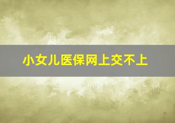 小女儿医保网上交不上