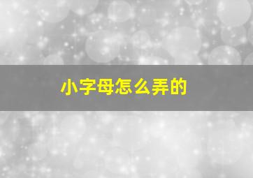 小字母怎么弄的