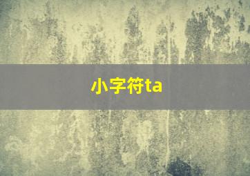 小字符ta