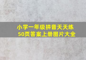 小学一年级拼音天天练50页答案上册图片大全